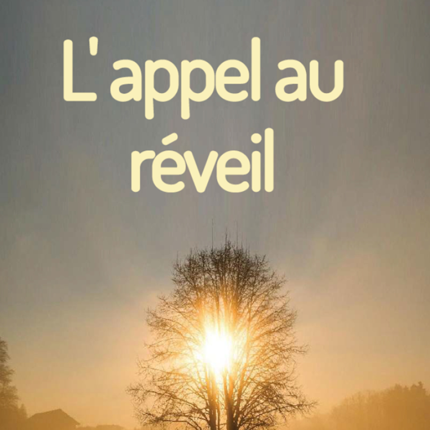 Appel au réveil